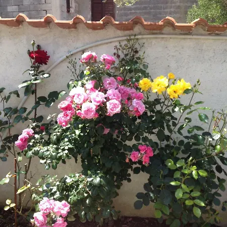Apartment Luxary In Close To